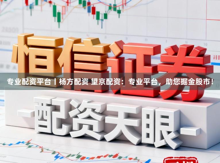专业配资平台丨杨方配资 望京配资：专业平台，助您掘金股市！